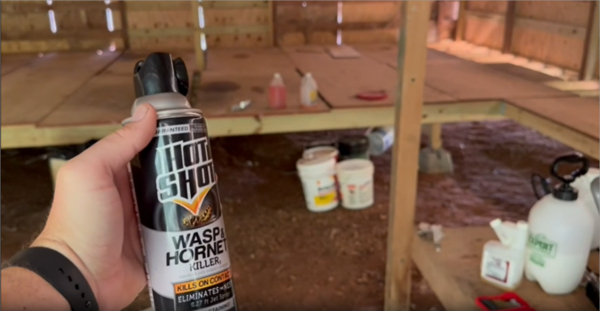 Real Review of My Hot Shot Wasp and Hornet Spray