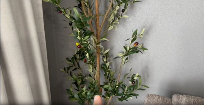 Real Review of my Kazeila Artificial Olive Tree