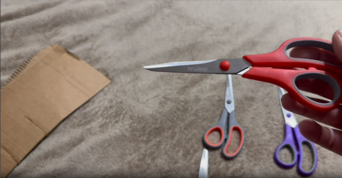 Real Review of Niutop Scissor Set